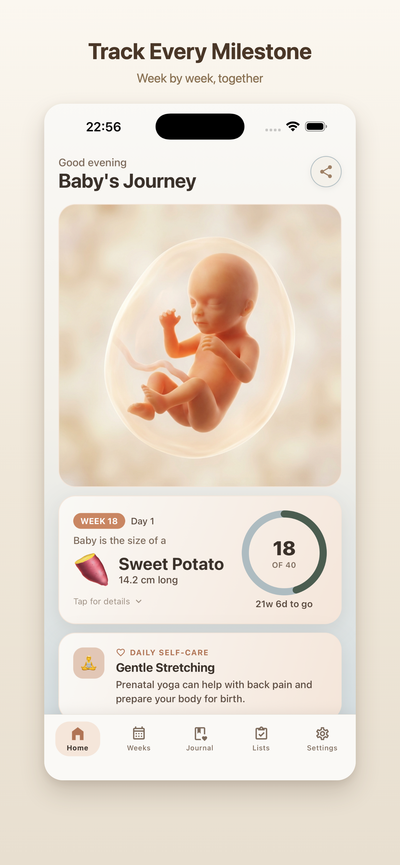 Nooko app screenshot